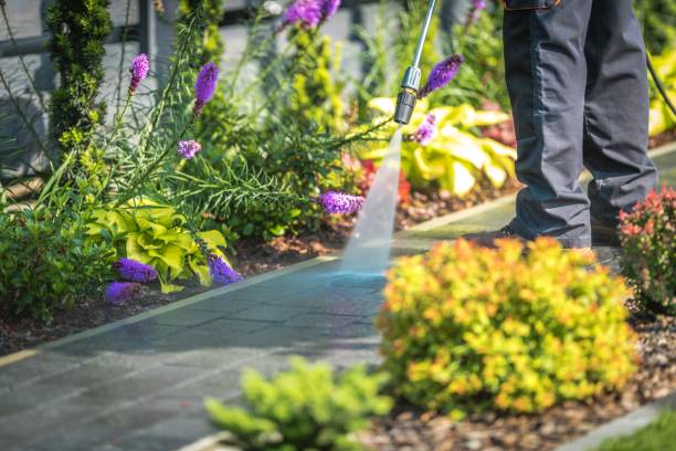 Best Boat and Dock Cleaning  in Nocatee, FL